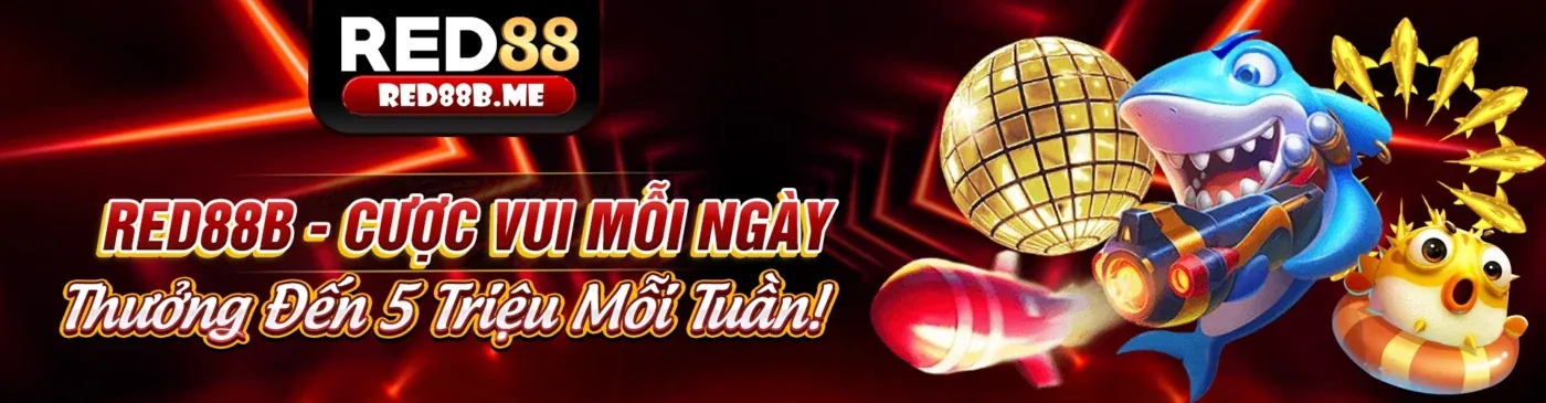 Hình ảnh tổng quan nền tảng KU11 chính thức, thể hiện sự chuyên nghiệp và đa dạng trò chơi